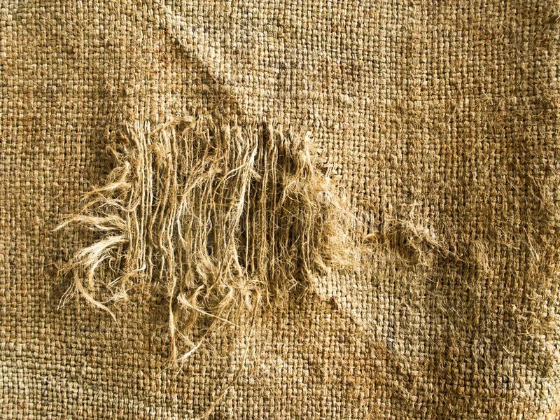 The Tattered Fabric of Our Society